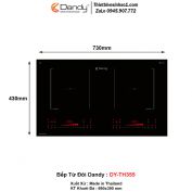 Bếp Từ Dandy DY-TH355