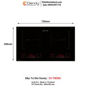 Bếp Từ Dandy DY-TM288