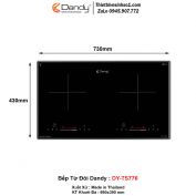 Bếp Từ Dandy DY-TS776