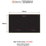Bếp Từ Dandy DY-TV936