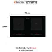 Bếp Từ Dandy DY-XA68