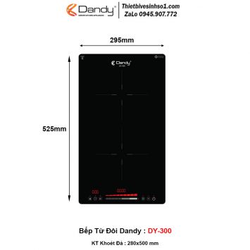Bếp Từ Dandy DY-300
