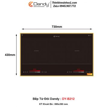 Bếp Từ Dandy DY-B212