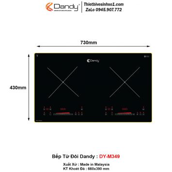 Bếp Từ Dandy DY-M349