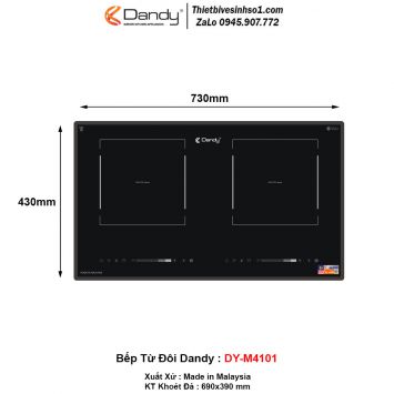 Bếp Từ Dandy DY-M4101