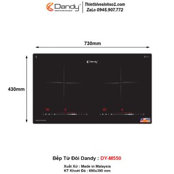 Bếp Từ Dandy DY-M550