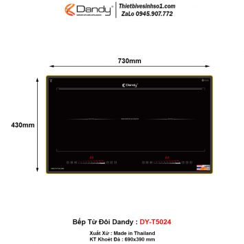 Bếp Từ Dandy DY-T5024