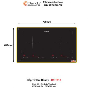 Bếp Từ Dandy DY-T512