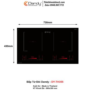 Bếp Từ Dandy DY-TH355
