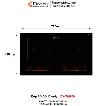 Bếp Từ Dandy DY-TM288