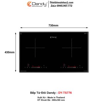 Bếp Từ Dandy DY-TS776