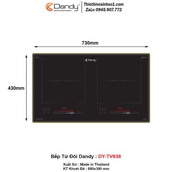 Bếp Từ Dandy DY-TV936