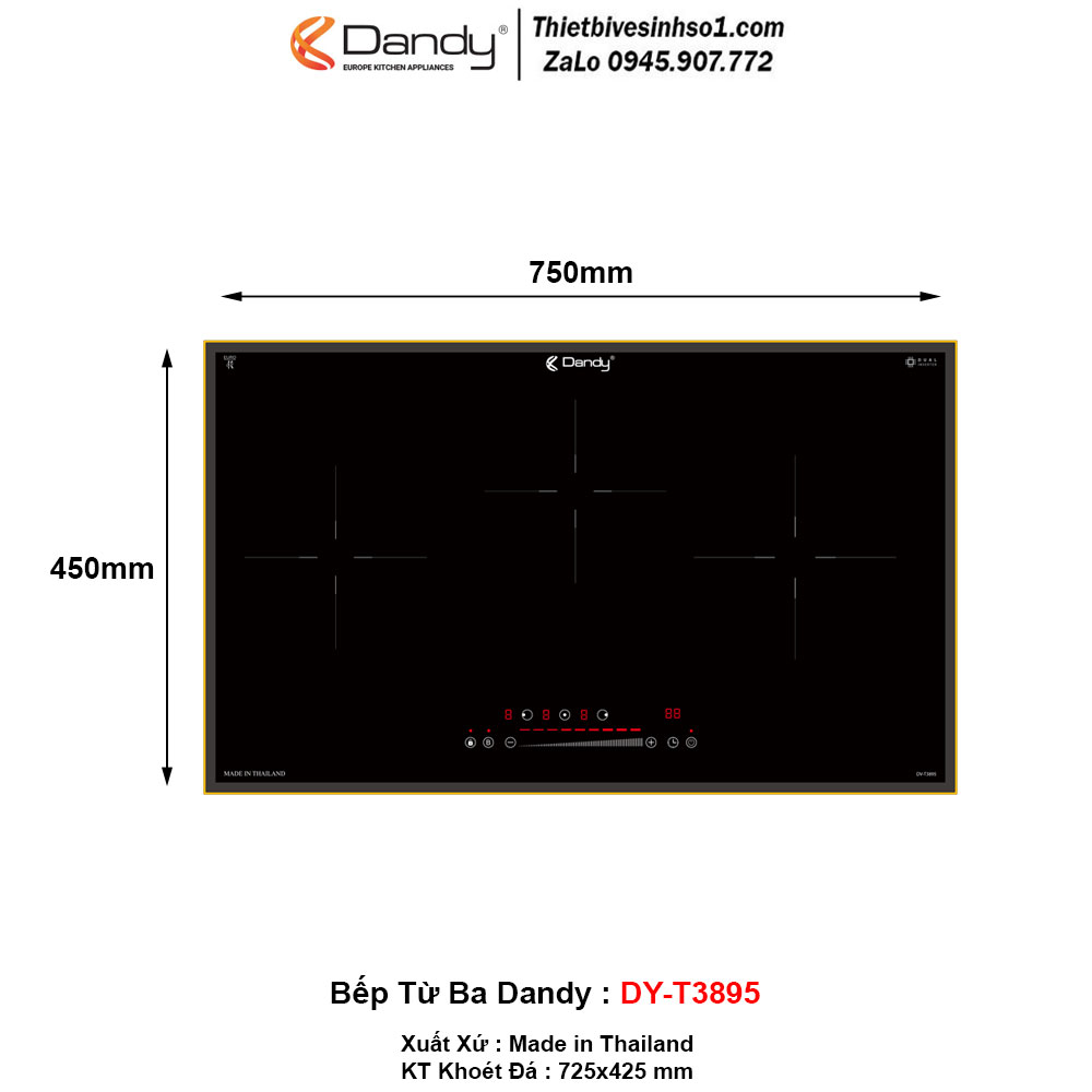 Bếp Từ Dandy DY-T3895