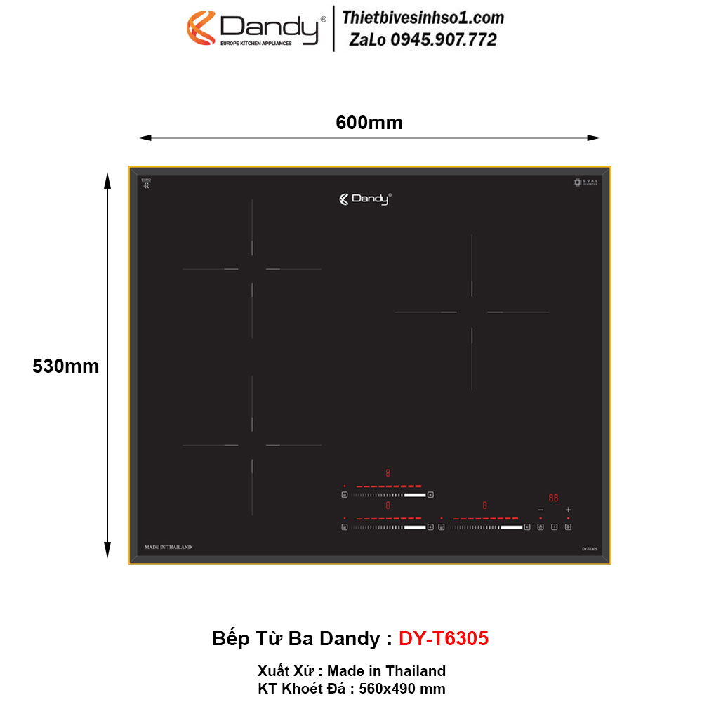 Bếp Từ Dandy DY-T6305