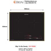 Bếp Từ Dandy DY-T6305