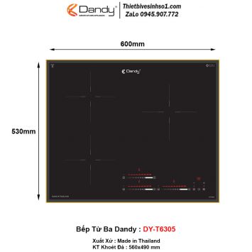 Bếp Từ Dandy DY-T6305