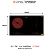 Bếp 1 Từ 1 Hồng Ngoại Dandy DY-A101S
