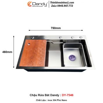 Chậu Rửa Bát Dandy DY-7546