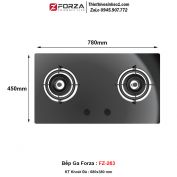 Bếp Gas Forza FZ-263