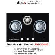 Bếp Gas Âm Romal RG-308NS