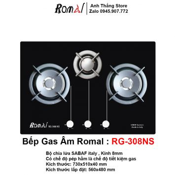 Bếp Gas Âm Romal RG-308NS