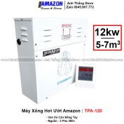 Máy Xông Hơi Ướt AMAZON 12KW TPA-120