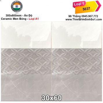 Gạch 30x60 Ấn Độ 5037