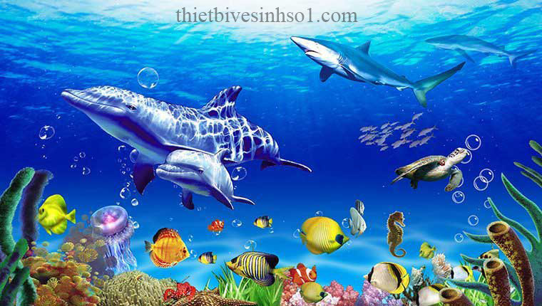 hình ảnh  đại dương làn sóng dưới nước Rạn san hô Bờ biển Sóng gió  sinh vật biển 4896x3264   163045  hình ảnh đẹp  PxHere